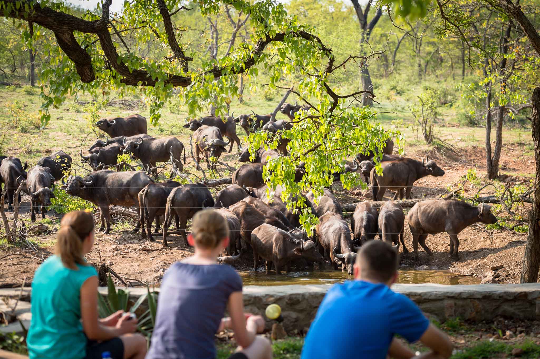Voyage en famille en Afrique avec Timuntu Travel