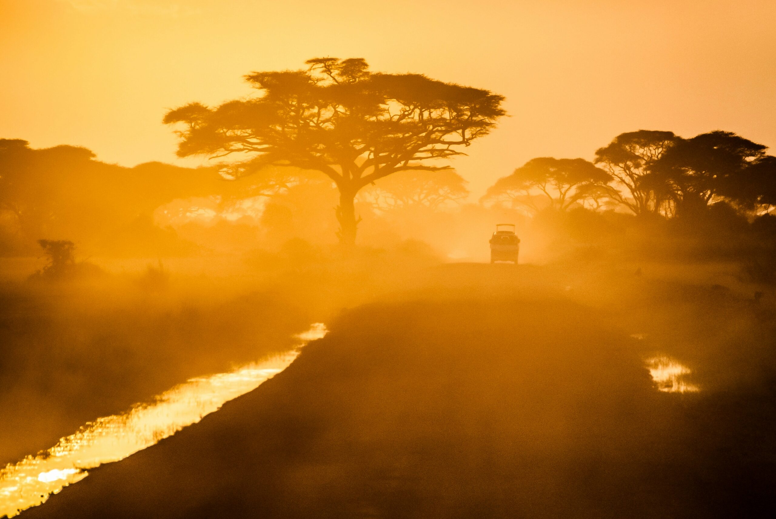 Voyages en Afrique