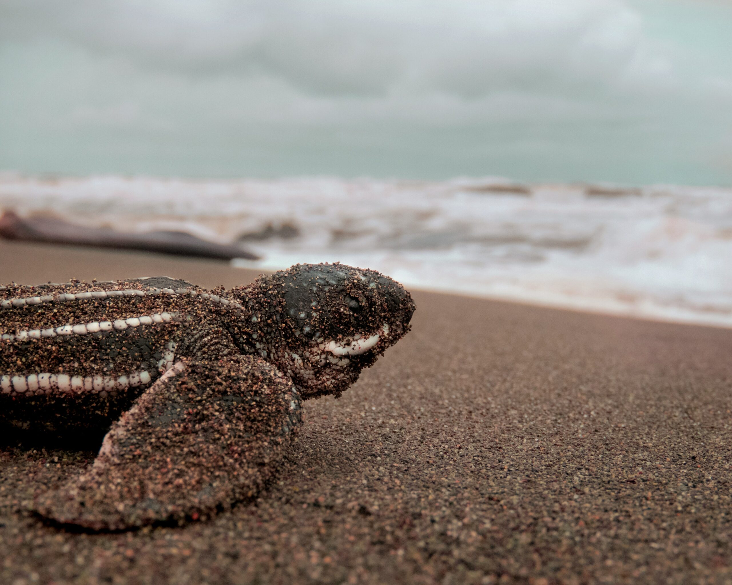 Slow Travel avec Serenaways