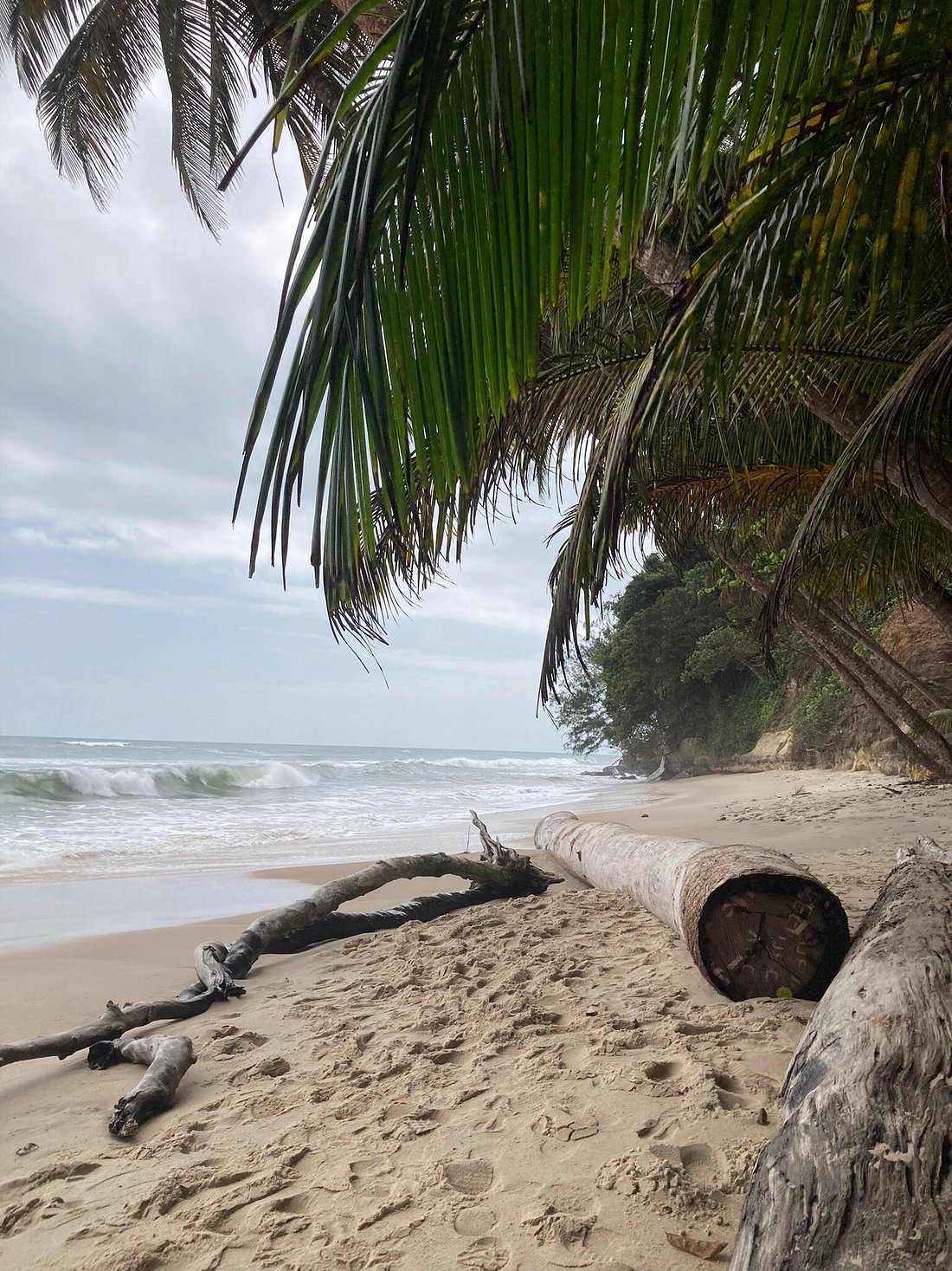 Plage sauvage bordée de forêt tropicale au Gabon