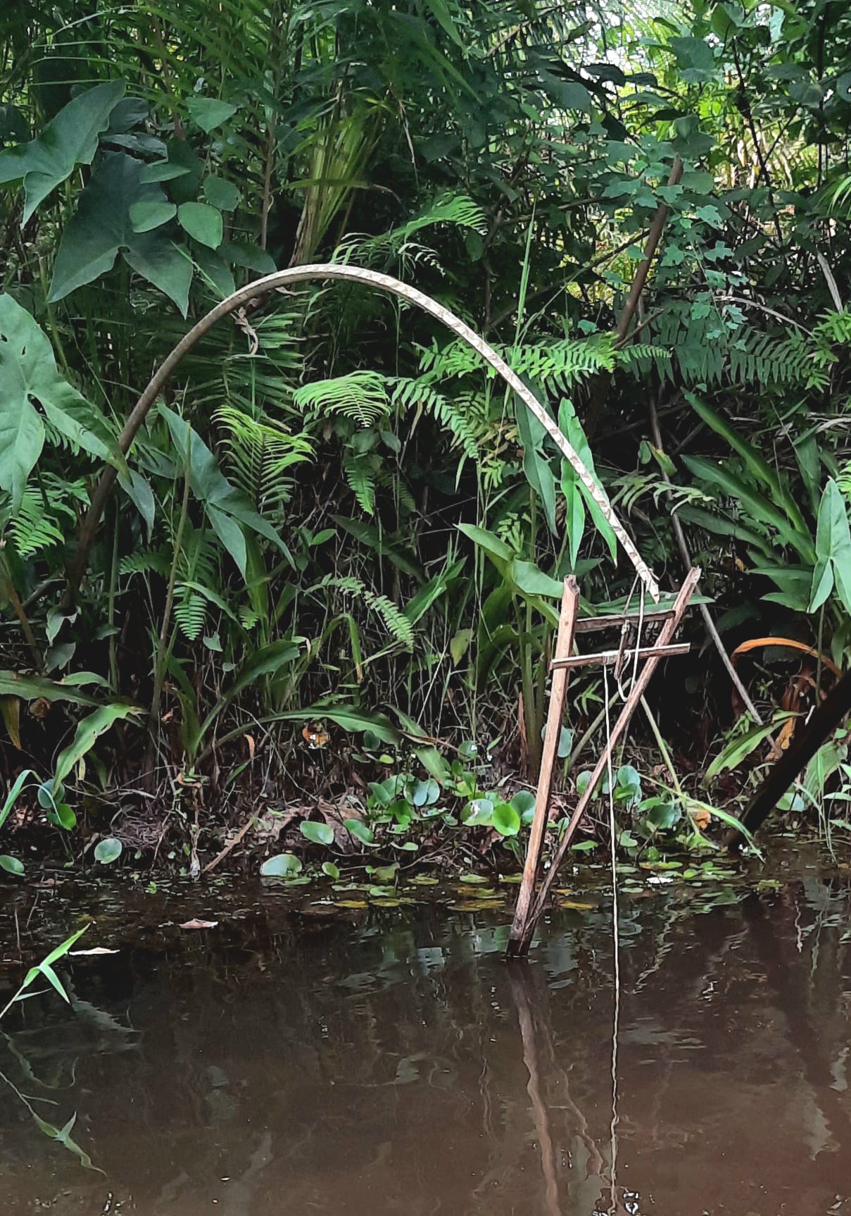 Scène de pêche traditionnelle au Bénin