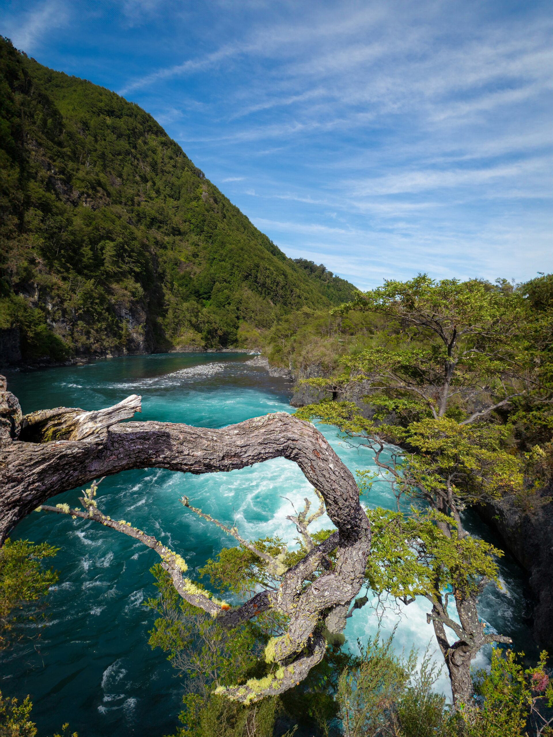 Forêts et eaux turquoise du Chili